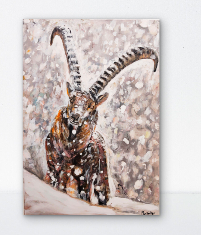 Steinbock im Schneesturm